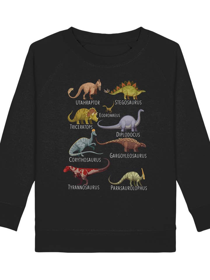 Dinosaurier Arten Mädchen Dino Kinder Sweatshirt für den Großhandel von Tigerlino®