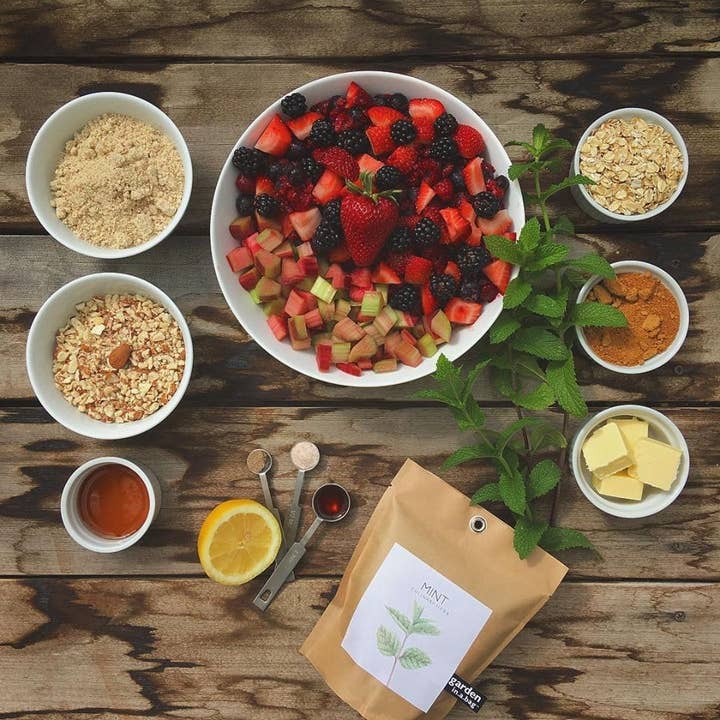 Potting Shed Creations, Ltd. - Wholesale Plant Seeds - Garden in a Bag | Mint | Great gift for Cooks