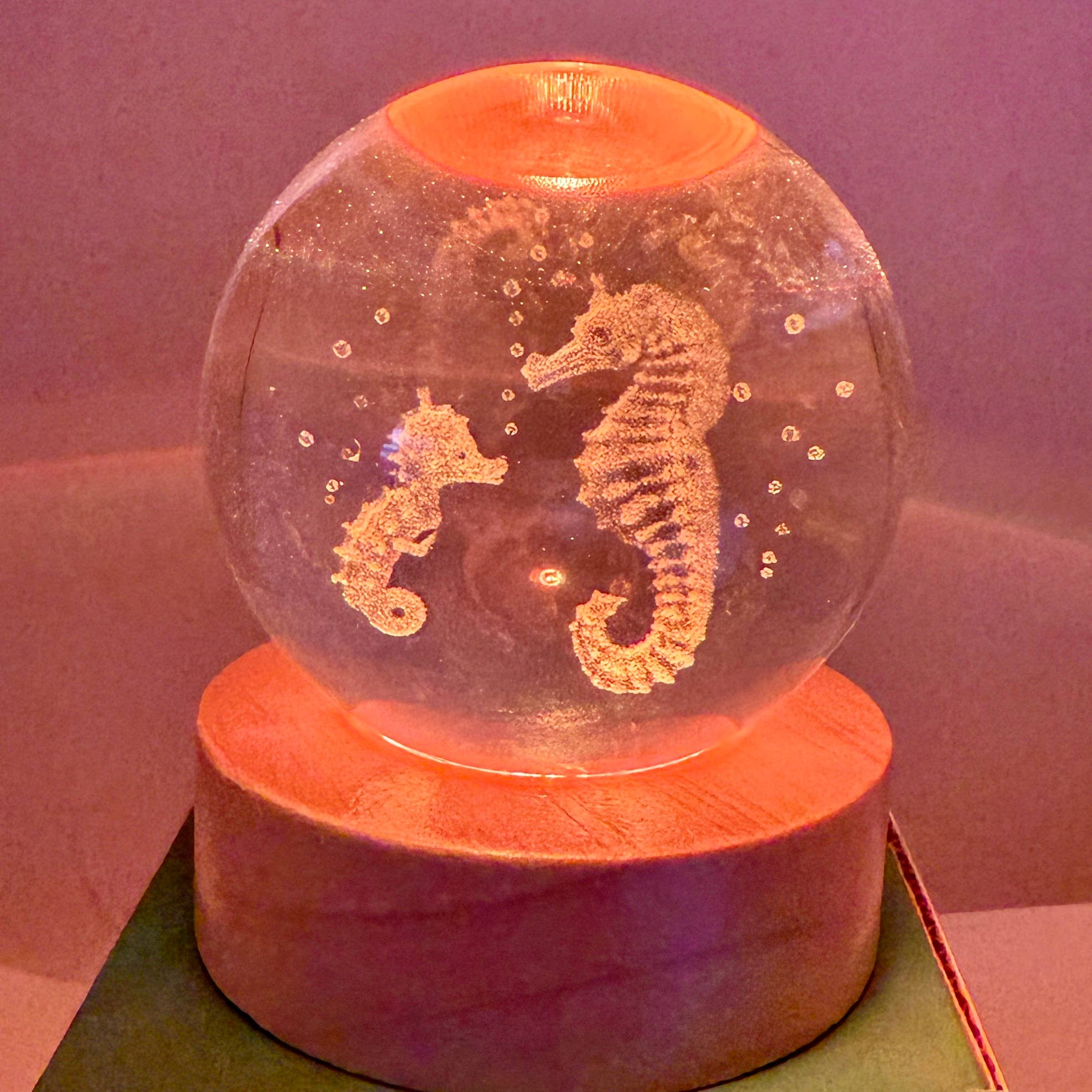 29 Tonight - Wholesale Decorative Tabletop Object - LIGHT-UP 3D 60mm Laser etched glass  wood base SEA HORSE0