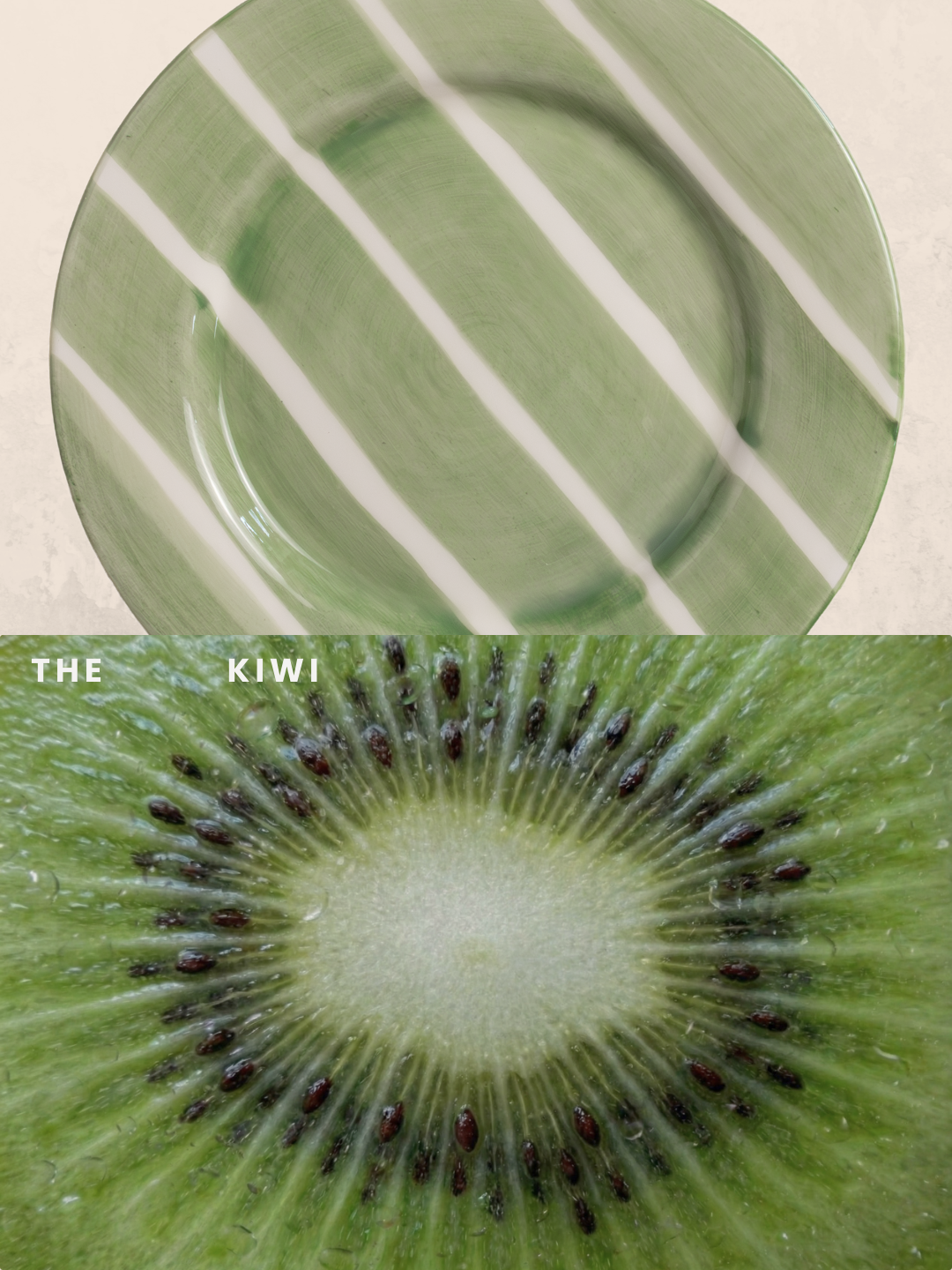 Valsa Home - Wholesale Dinner Plate - Kiwi Dessert Plate - WS3