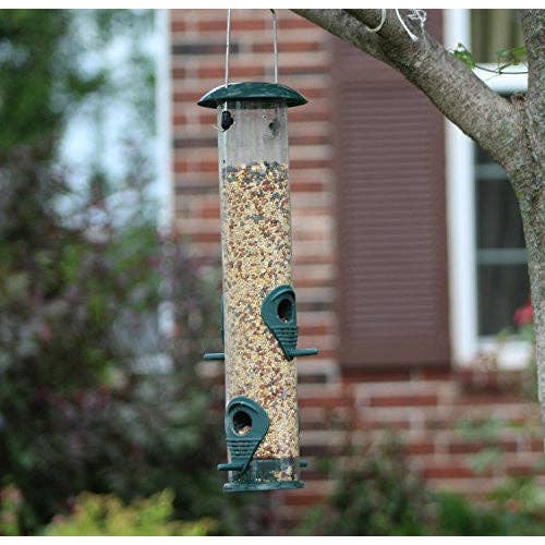 Ashman Online - Wholesale Bird Feeder - Ashman Bird Feeder to Attract Wild Birds (Green)4
