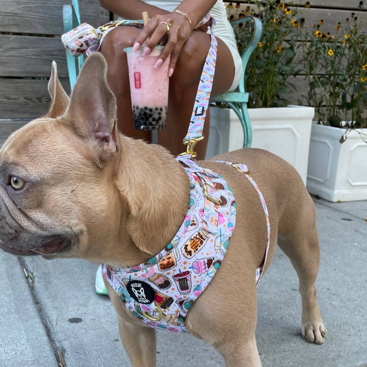 Harnais ajustable Bubble Tea | KiiOui pour la vente par KiiOui Pet Store