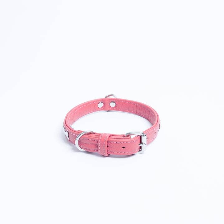 Angel Pet Supplies Inc. - Vendita all'ingrosso Collare - Cani - Collare per cani Rotterdam Bones di ANGEL™10