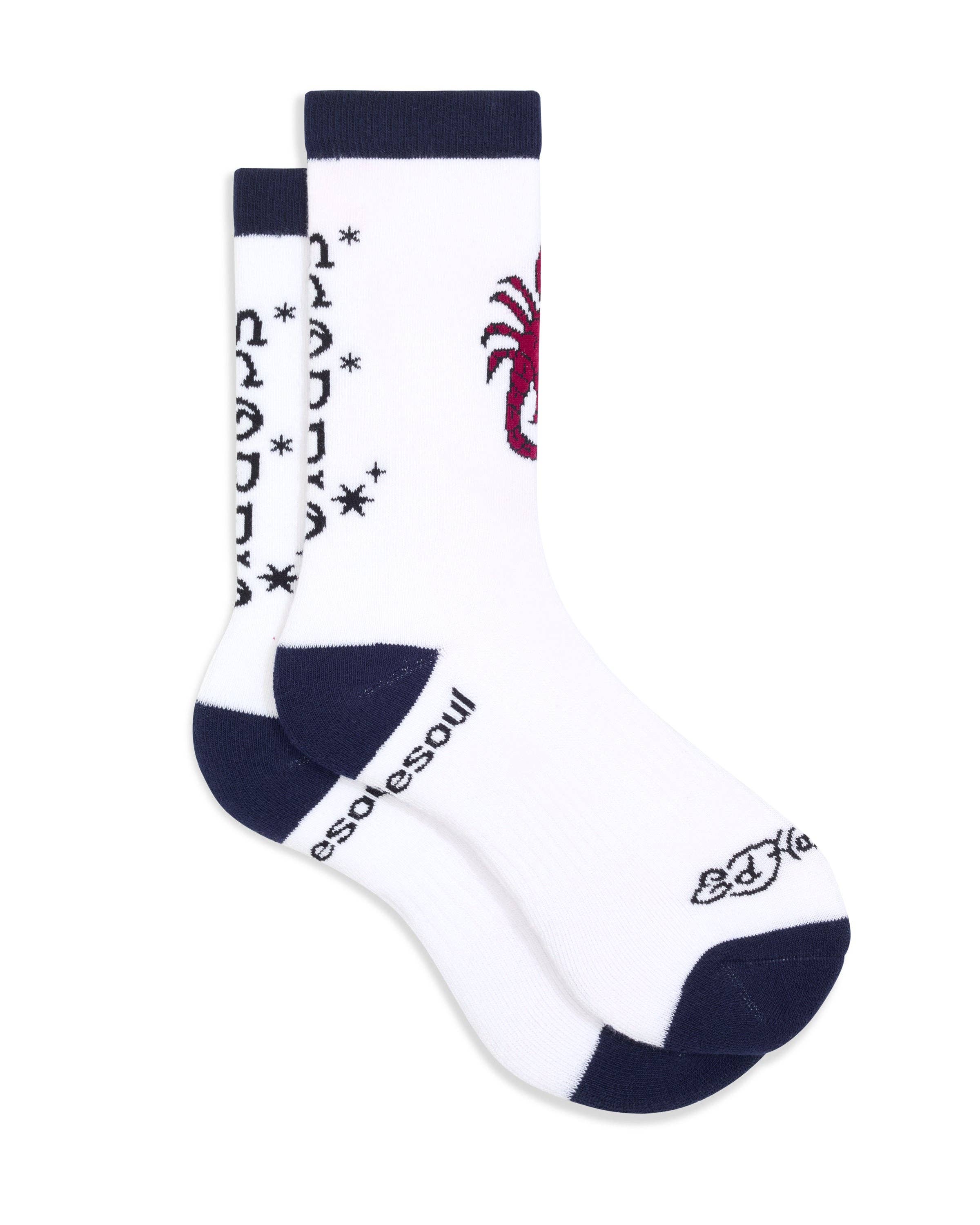 doublesoul - Vente Chaussettes – unisexe - Chaussette haute zodiaque Ed Hardy12