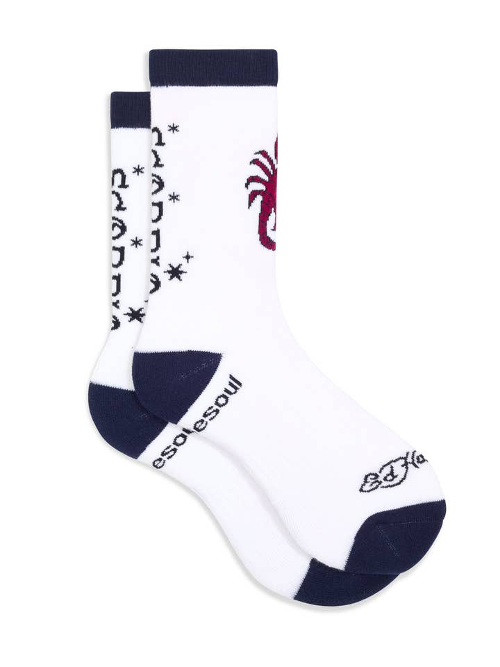 doublesoul - Vente Chaussettes – unisexe - Chaussette haute zodiaque Ed Hardy12