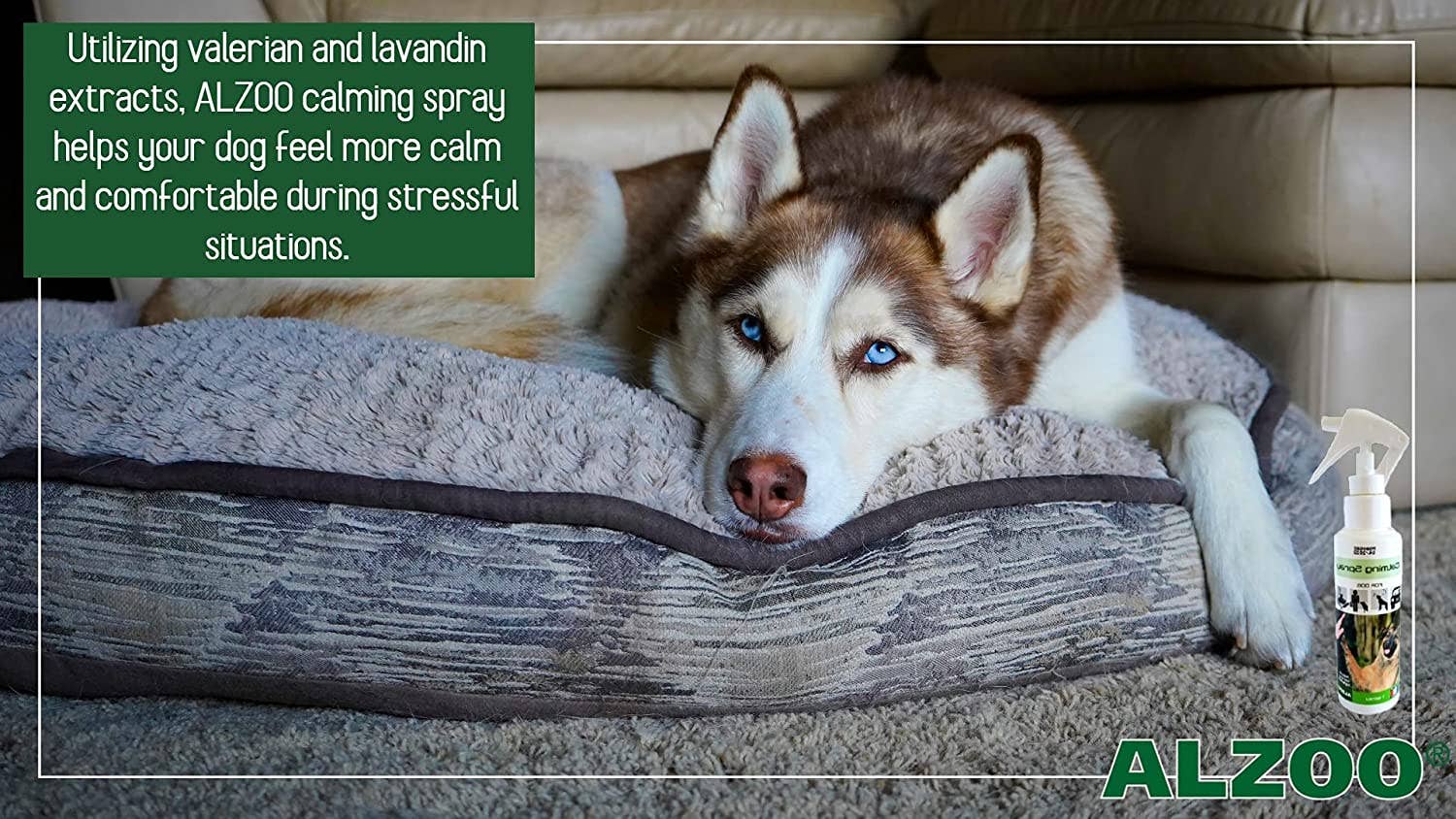 ALZOO - Wholesale Pet Spray - Dog - ALZOO Plant-Based Calming Spray Dog 3.4oz3