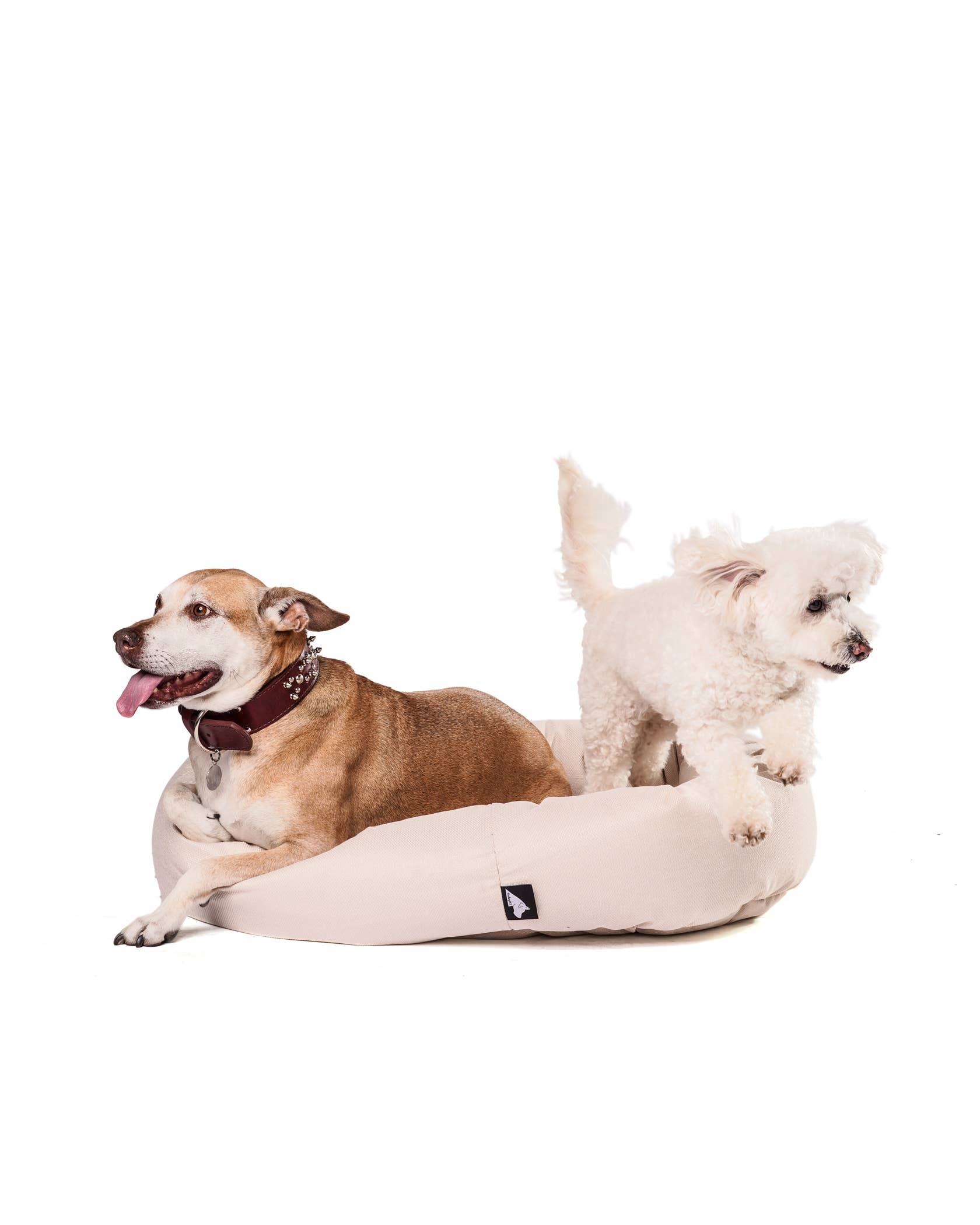 Roxbury PET - Vente Panier – chien - Le lit rond The Robertson6