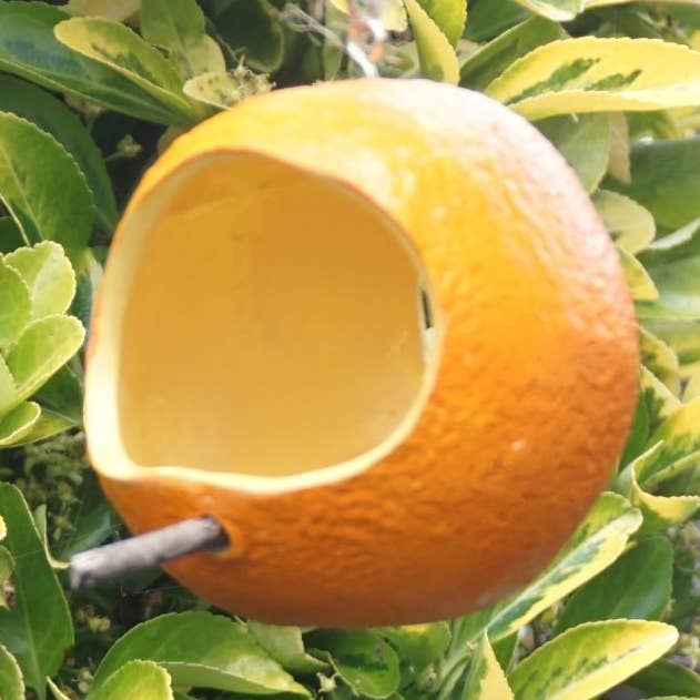 E-Merryfield Pottery Orange Birdfeeder Pod for wholesale by Merryfield Pottery