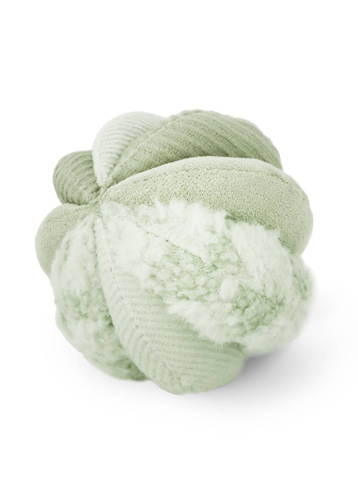 TOTO //Bereicherungsspielzeug (klein) und andere Ergebnisse für arrel im Großhandel. Kostenlose Rücksendungen und 60-Tage-Zahlungsziel auf Faire im Trend auf Faire.