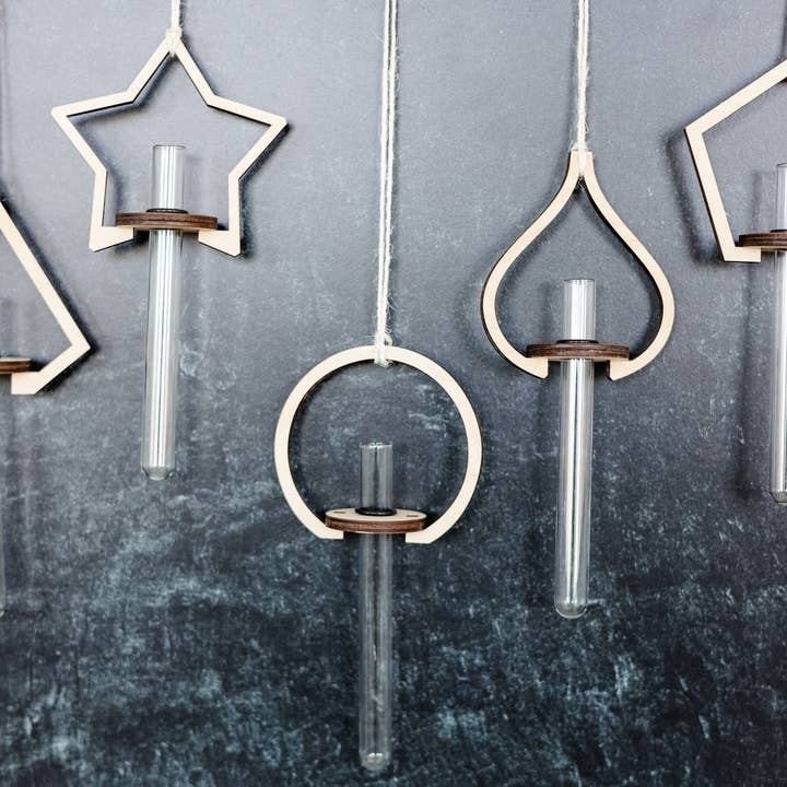 Vases à propagation pour la vente par Roaming Druggist Shop