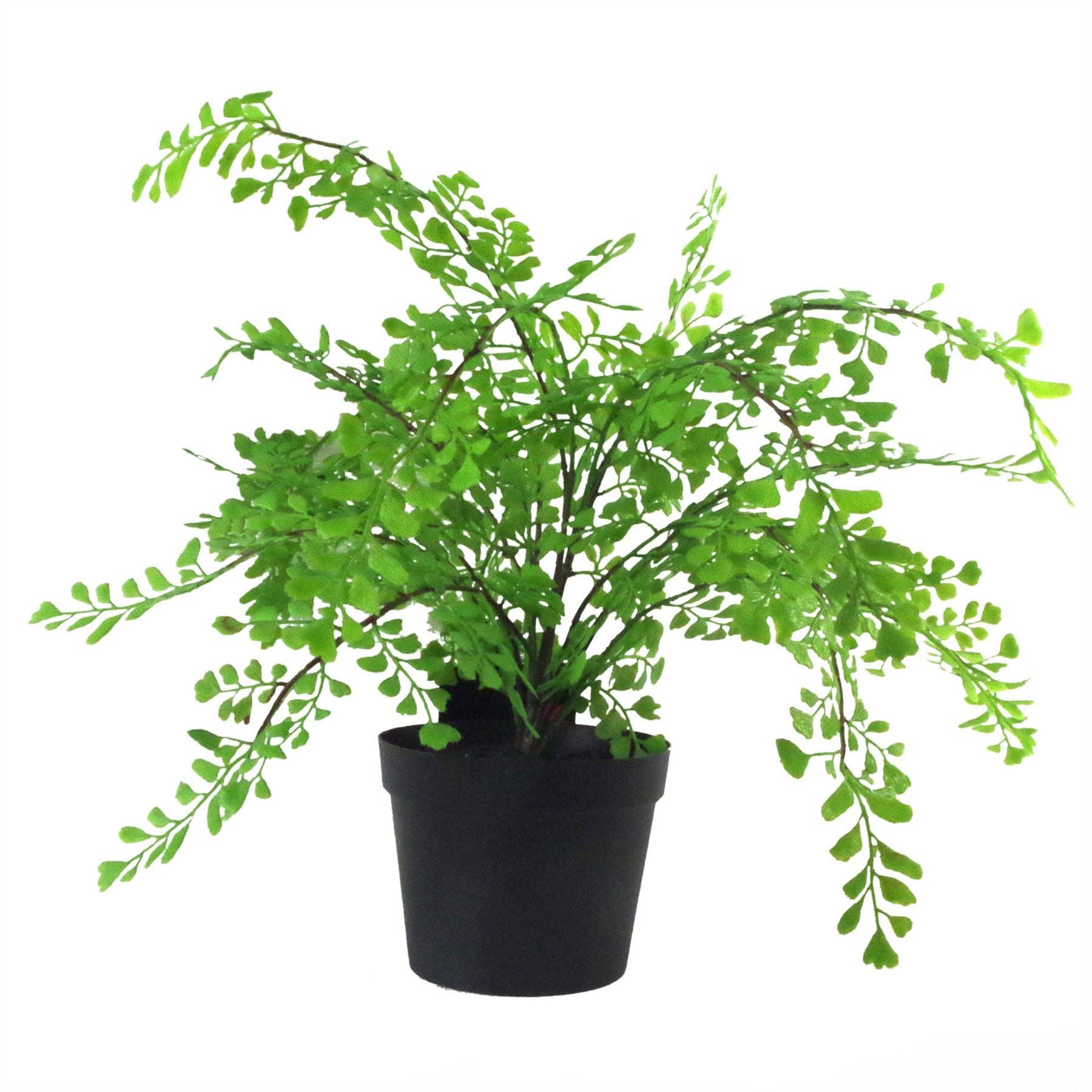Leaf Design UK LTD - Wholesale Artificial Plant - Artificial Fern Plant Pot Maidenhair Fern 35cm Plant0