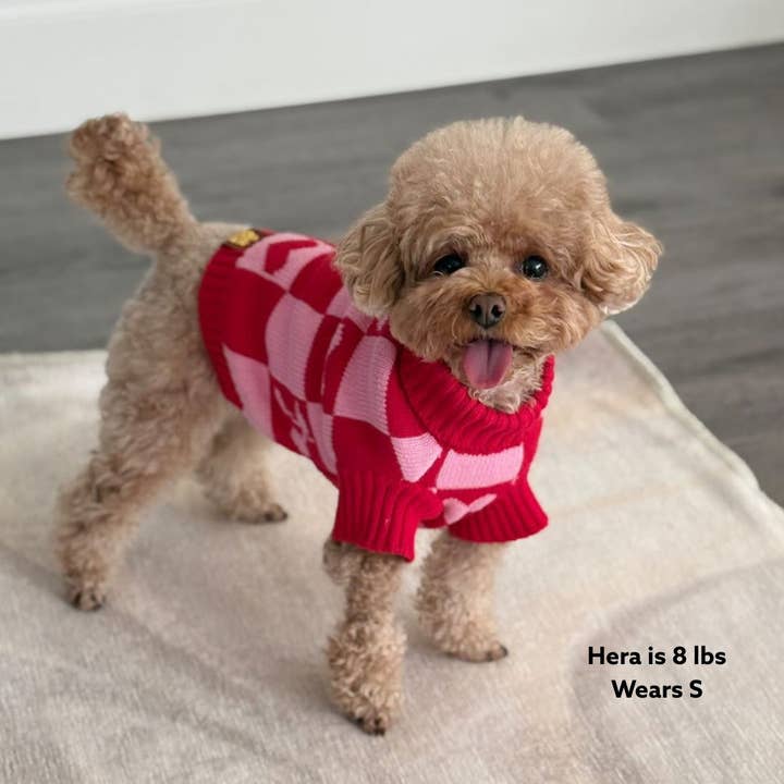 Sunbean - Wholesale Pet Sweater - Dog - Roll Neck Dog Knitted Love Sweater6