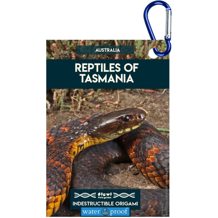 Répteis da Tasmânia-Origami Indestrutível por atacado de Flexi Field Guides