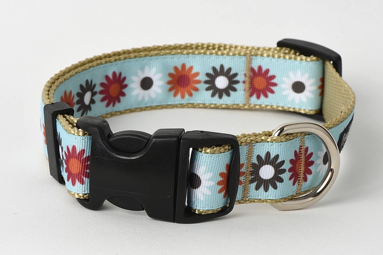 Paw Paws USA - Wholesale Pet Collar - Dog - Hula Hoop Dog Collar3