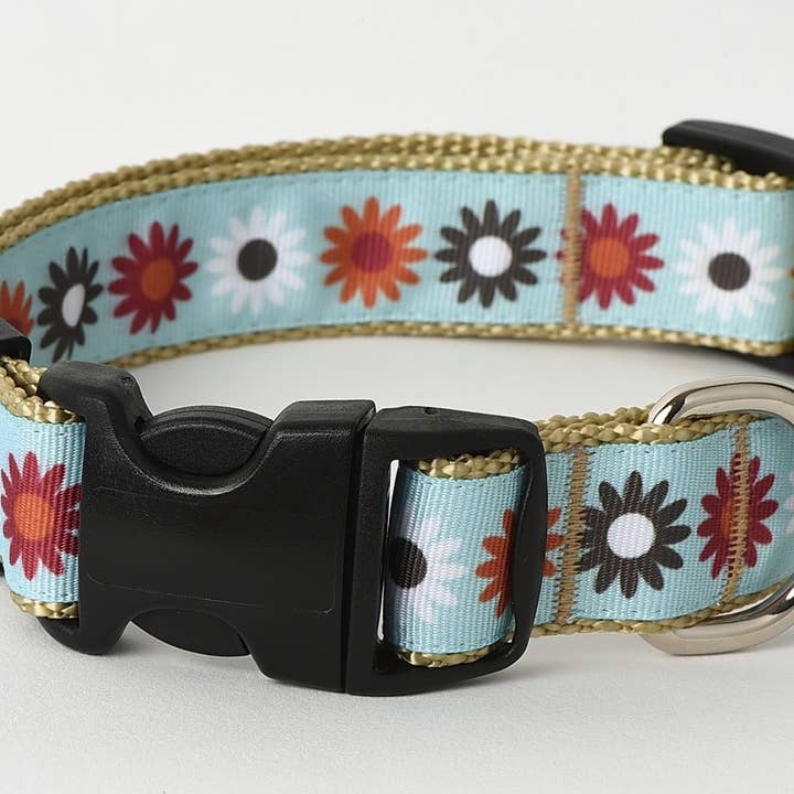 Paw Paws USA - Wholesale Pet Collar - Dog - Hula Hoop Dog Collar3