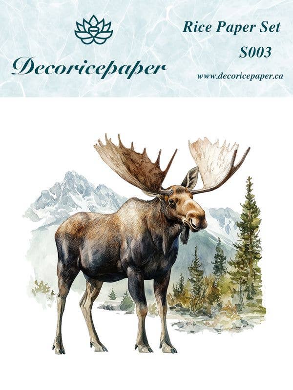 Decoricepaper - Wholesale Craft Supplies - S003 - Mini Rice Paper Set