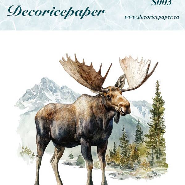 S003 - Mini Rice Paper Set and other Purchase Wholesale ln003. Free Returns & Net 60 Terms on Faire trending on Faire.