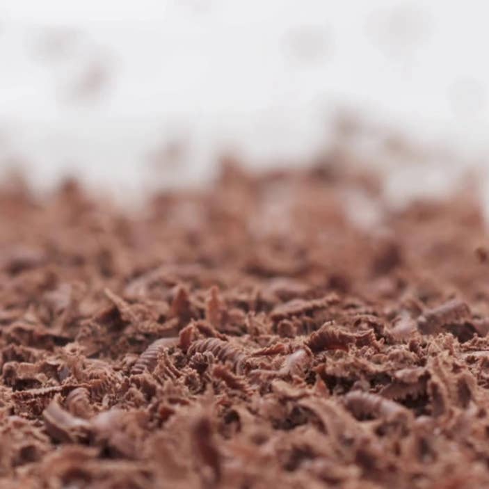 Svenska Kakao - Wholesale Chocolate - Couverture chocolate 3kg - Signature Dark 70%