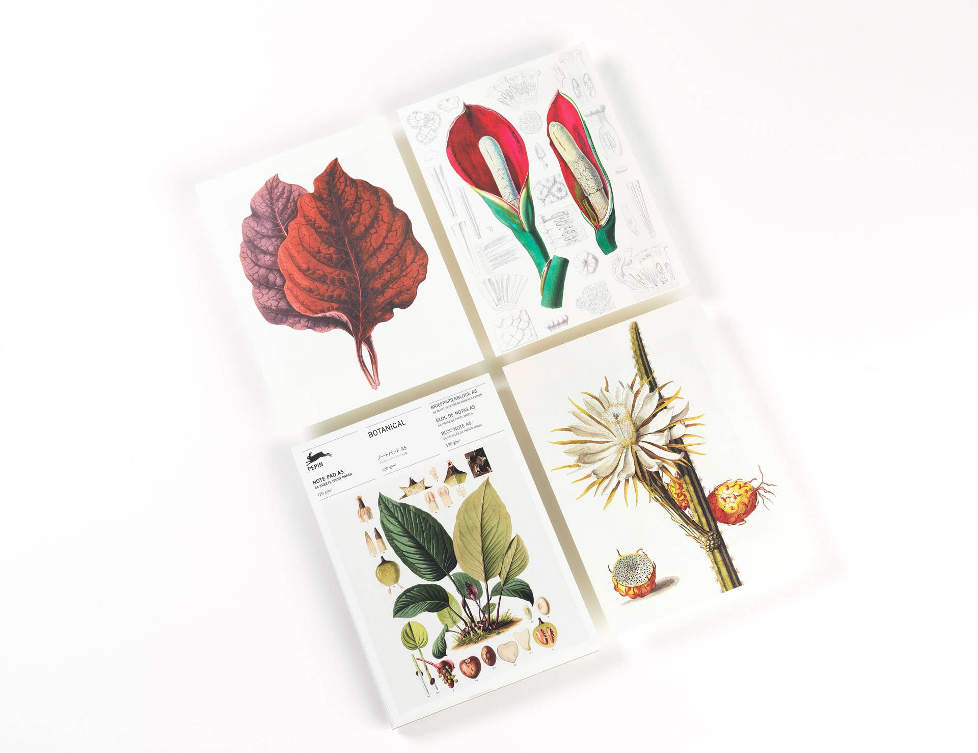 Pepin Press – wholesale Anteckningsblock – Botanical (ny utgåva) A5 Anteckningsblock & Skrivpapper1