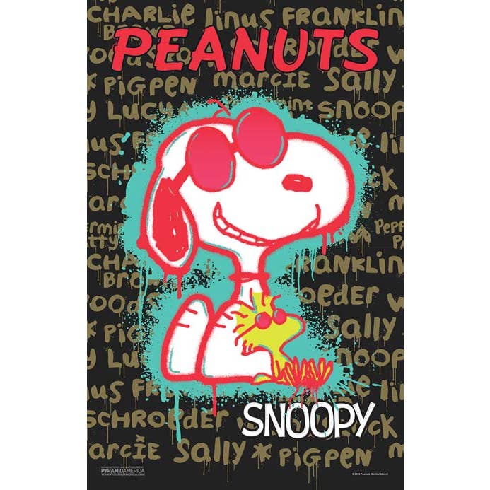 Pyramid America - Wholesale Poster - Peanuts - Snoopy & Woodstock G 11x17 Bag and Boarded Poster