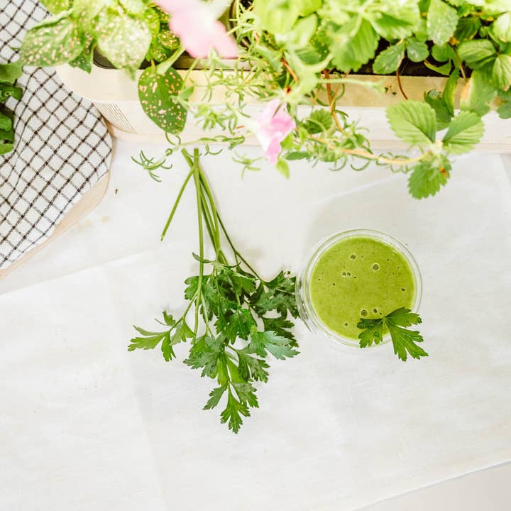 BerlinGreen – Sementes de plantas por atacado – PlantPlugs │ Kit Super Mix de Vitaminas 8 unidades3