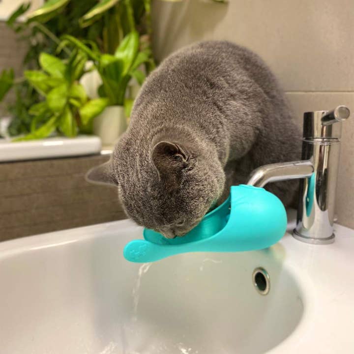 United Pets - Wholesale Pet Bowl - Cat/Dog - Universal silicone faucet for cats5
