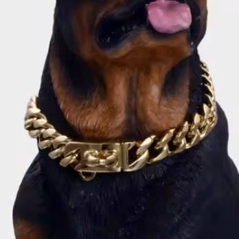 Heavy Duty Luxury Cuban Link Dog Collar for wholesale by Super Santa