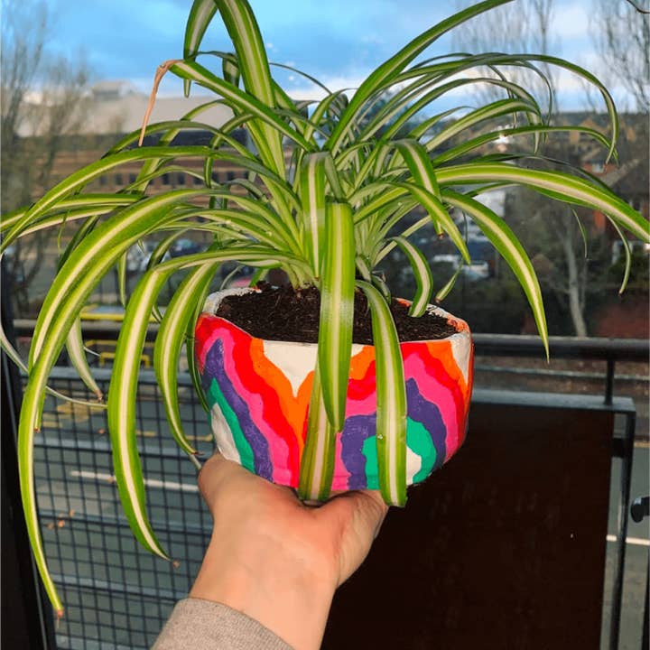 Pott'd - Wholesale DIY Craft Kit - Super Clay6