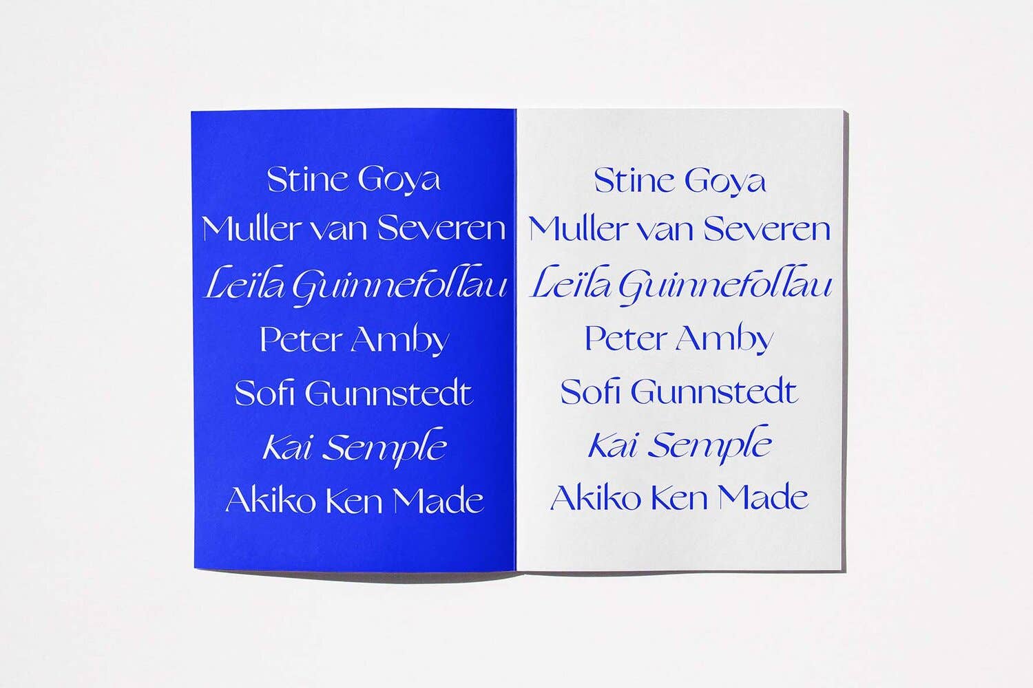 Sindroms - Wholesale Arts & Entertainment Book - Blue Sindrom11