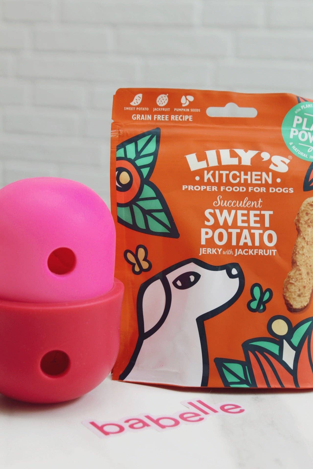 Babelle For Dogs - Wholesale Speeltje - Hond - De Fun Feeder - Snackdispenser - Lik speeltje11