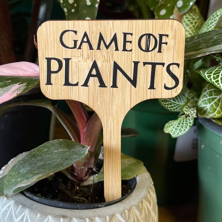 Spil om planter for engroshandel hos Crafts At Stake