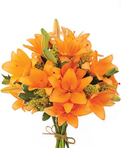 Self-Care Shower - Wholesale Artificial flowers - Lily - Fresh Cut Flowers - Grown In California USA Real Live