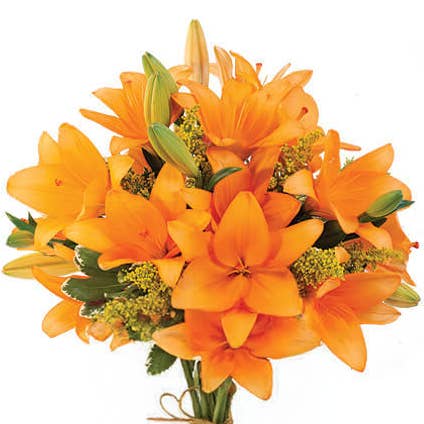 Self-Care Shower - Wholesale Artificial flowers - Lily - Fresh Cut Flowers - Grown In California USA Real Live0