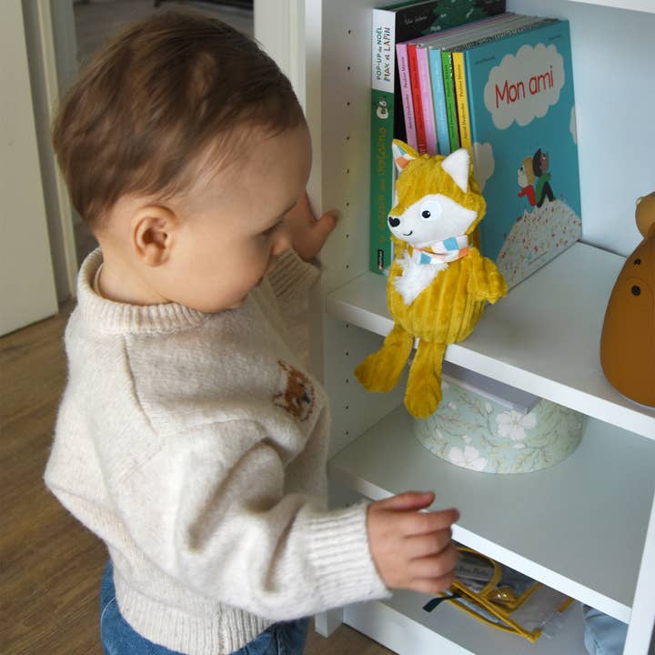 Les Déglingos, France - Wholesale Stuffed/Plush Toy - Kids & Baby - LES DEGLINGOS SMALL SIMPLY PLUSH + GIFT BOX CYRANOS THE FOX4
