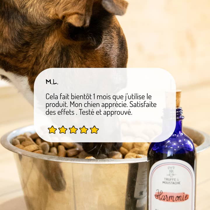 Truffe & Moustache - Wholesale Pet Supplement - Cat/Dog - Vegetable oil for dogs & cats, Omega 3 and 6, “Harmony”3