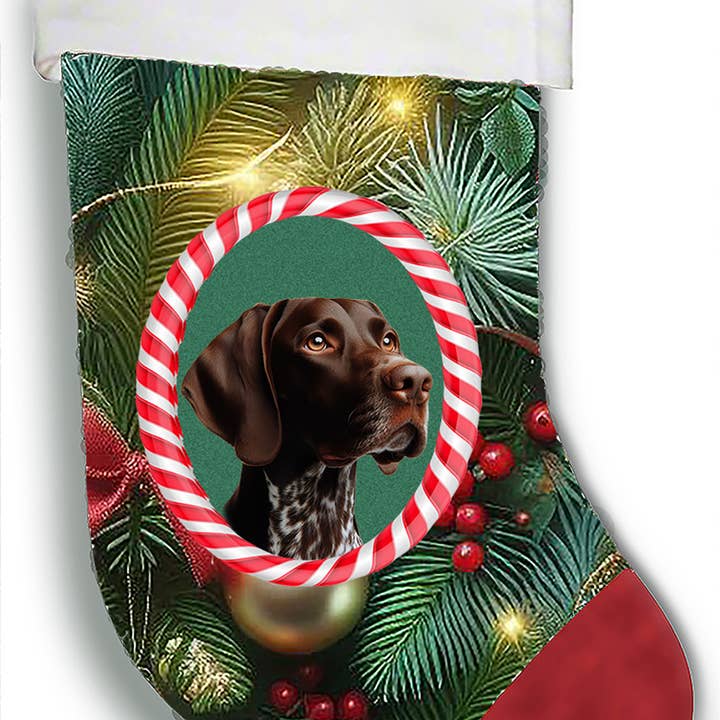 Best of Breed Products - Wholesale Christmas Decoration - German Shorthair Pointer - Christmas Stocking0
