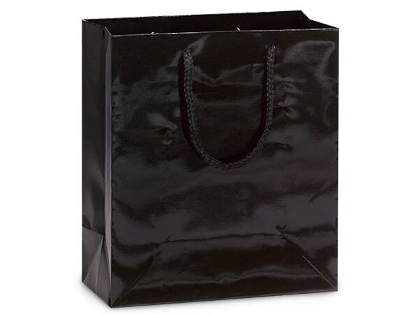 Nashville Wraps - Wholesale Gift Bag - Gloss Paper Rope Handle Gift Bags32