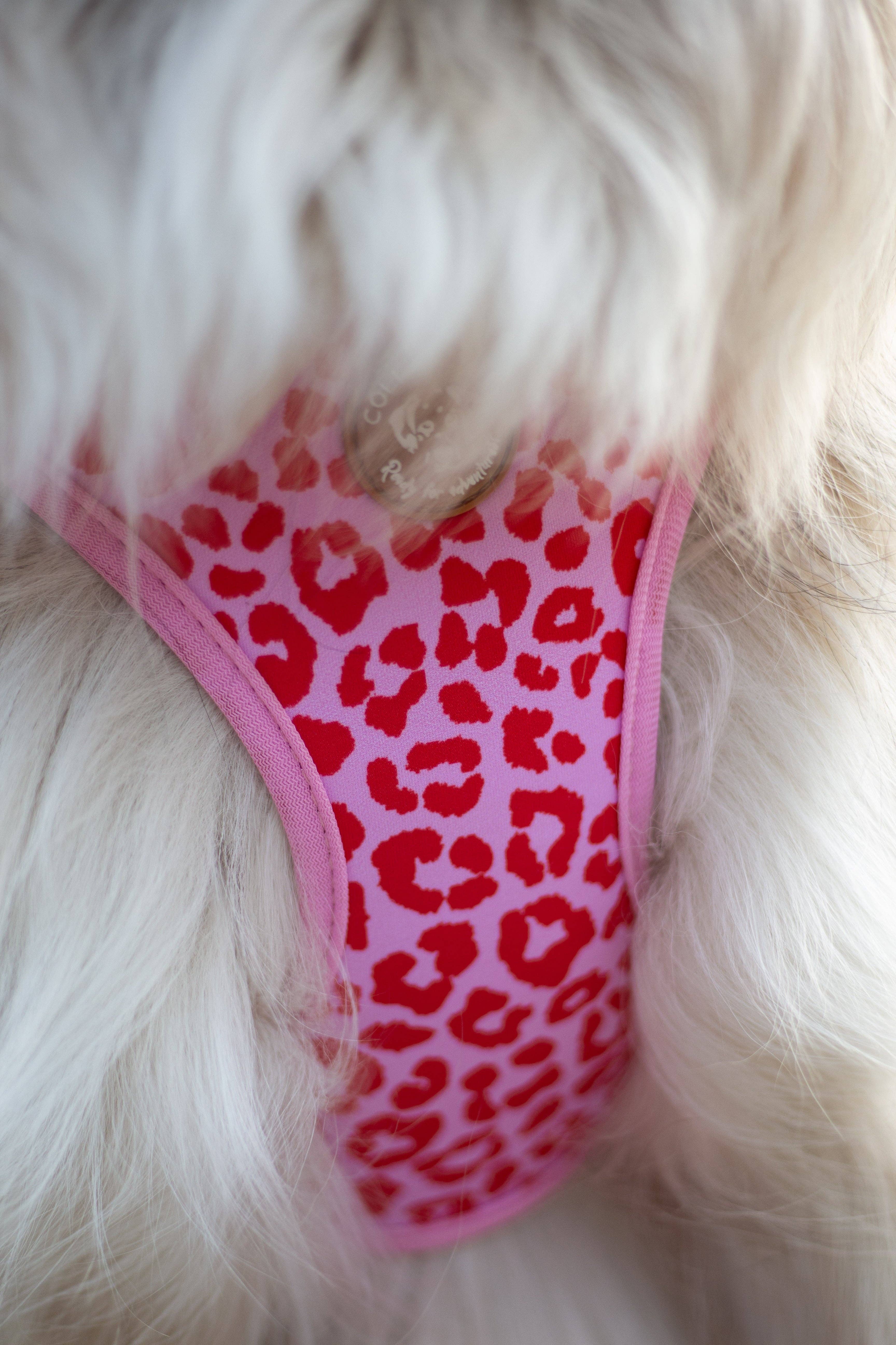 Collarfull - Wholesale Pet Harness - Dog - Tiny Trails step-in dog harness - Pink Panther5