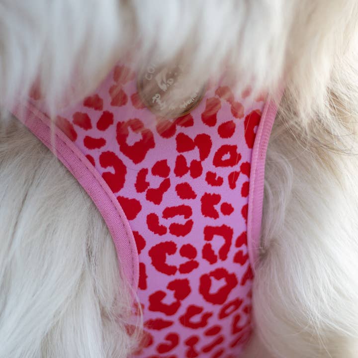 Collarfull - Venta al por mayor Arnés - Perros - Arnés escalonable para perros Tiny Trails - Pink Panther5