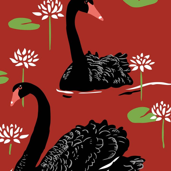 Stampa d'Arte Cigni Neri e Ninfee: Uccello e Fiori per la vendita all'ingrosso da parte di Rigel Paper