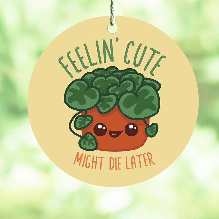 Feelin' Cute Air Freshener — Choose The Scent! for wholesale by Whoa Newt Illustration