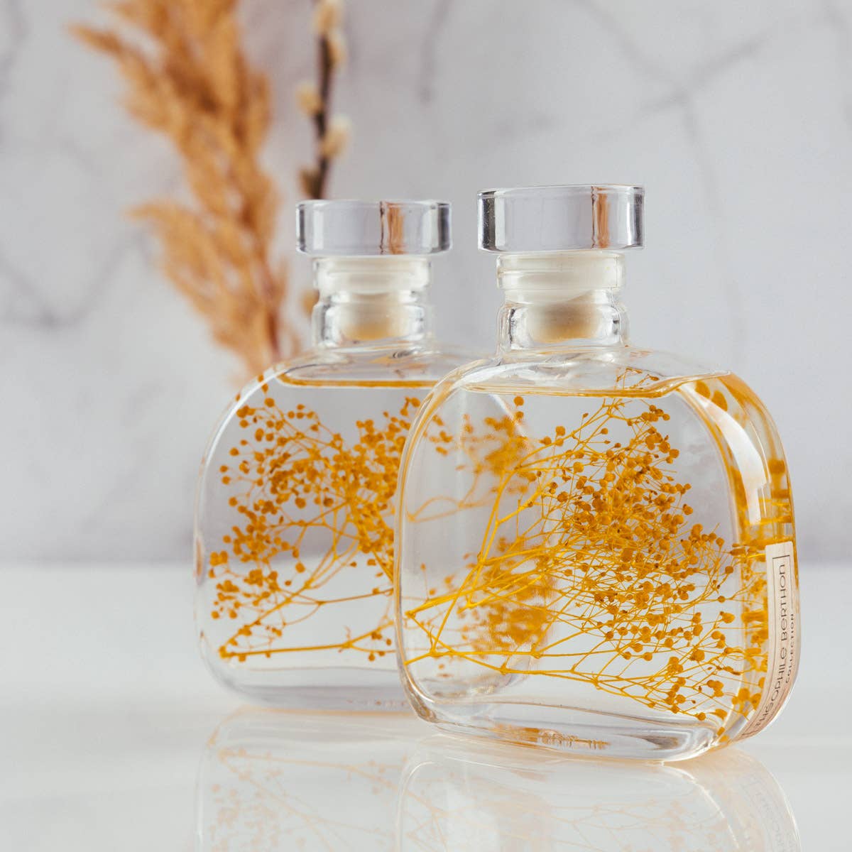 Theophile Berthon – wholesale Levande växt – Herbariumkapsel - Safrankärleksört nedsänkt växt6