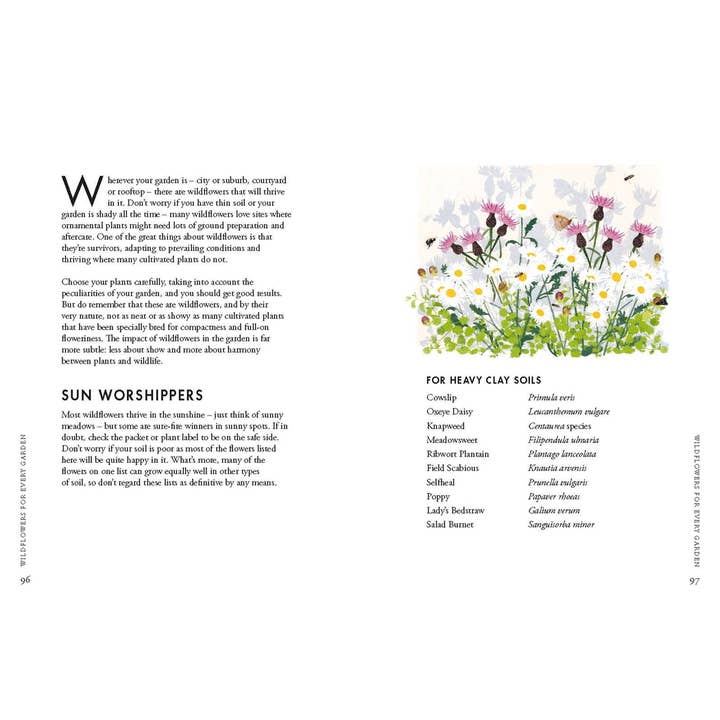 Chronicle Books - Wholesale Nature & Outdoors Book - Planting Wildflowers6