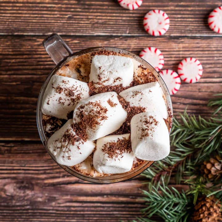 Bare Life - Wholesale Hot Cocoa Mix/Kit - Dairy Free & Vegan Peppermint Hot Cocoa Mix - 9.52 Oz. Bag