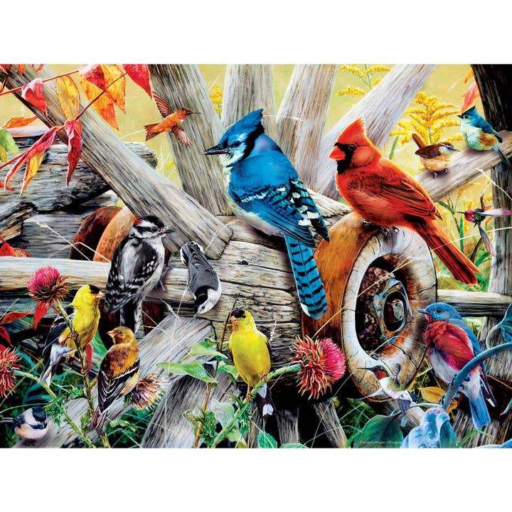 Masterpieces Puzzles - Wholesale Puzzle - Adult - Audubon - Backyard Birds 300 Piece EZ Grip Puzzle1