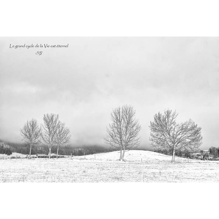 Eternità per la vendita all'ingrosso da parte di L'Ecriture D'Un Regard