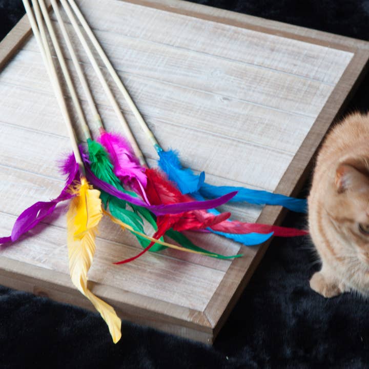 Dr. Pussums Catnip - Wholesale Pet Toy - Cat - Cat Teasers Cat Toys4