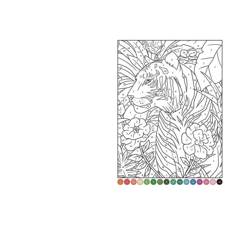 Simon & Schuster - Wholesale Book - Adult - Collage By Numbers: Animals by IglooBooks1