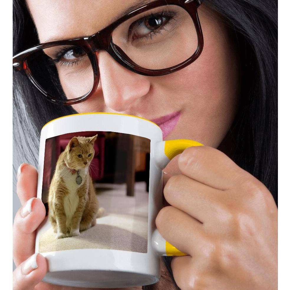 3dRose - Wholesale Coffee Mug - 3dRose, Orange tabby housecat in a living room - NA02 MFR0000 - MFR, Mug1