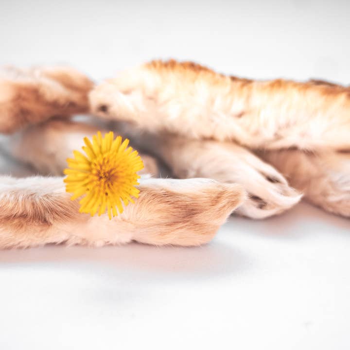 Rabbit Feet (Back) for wholesale by Frost Fang LLC